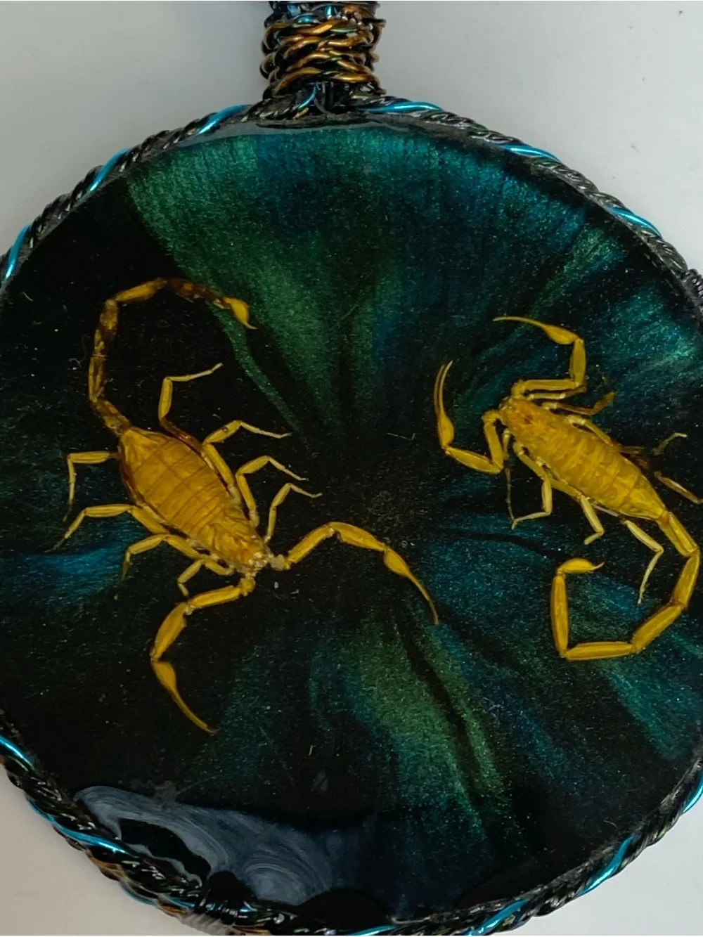 Necklace Cord Leather Big handmade Resin pendant featuring real scorpions
